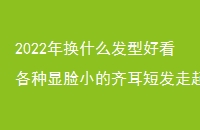 2022껻ʲôͺÿС̷