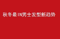 ﶬINʿ