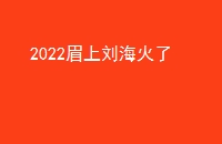 2022ü