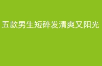 鷢ˬ