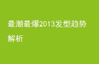 2013ƽ