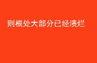 󲿷Ѿ