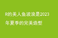 R㲨2023ļ