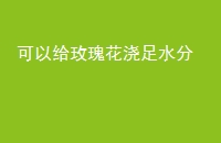 Ըõ廨ˮ
