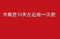 10ʩһη