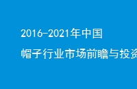 2016-2021йñҵгǰհͶʹ滮