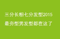 ֳ߷ַ2015зͶ