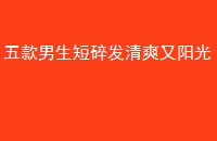 鷢ˬ