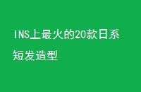 INS20ϵ̷