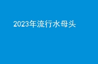 2023ˮĸͷ