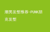 зƼ-PUNK˷