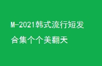 M-2021ʽж̷ϼ