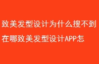ΪʲôѲAPPô