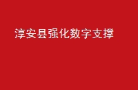 ǿ֧