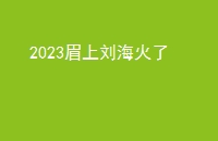 2023ü